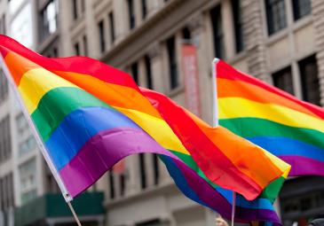 Rainbow Flags flying outdoors