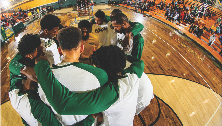 tcnj men's basketball