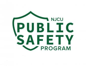 public safety